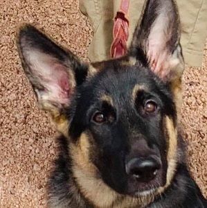 Meet your Posher, Keeley mulholland